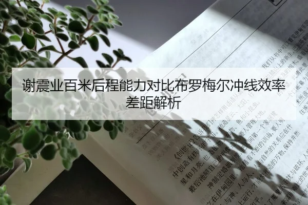 谢震业百米后程能力对比布罗梅尔冲线效率差距解析