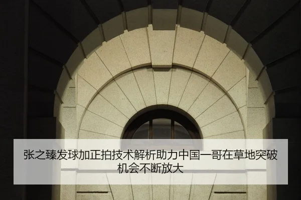 张之臻发球加正拍技术解析助力中国一哥在草地突破机会不断放大