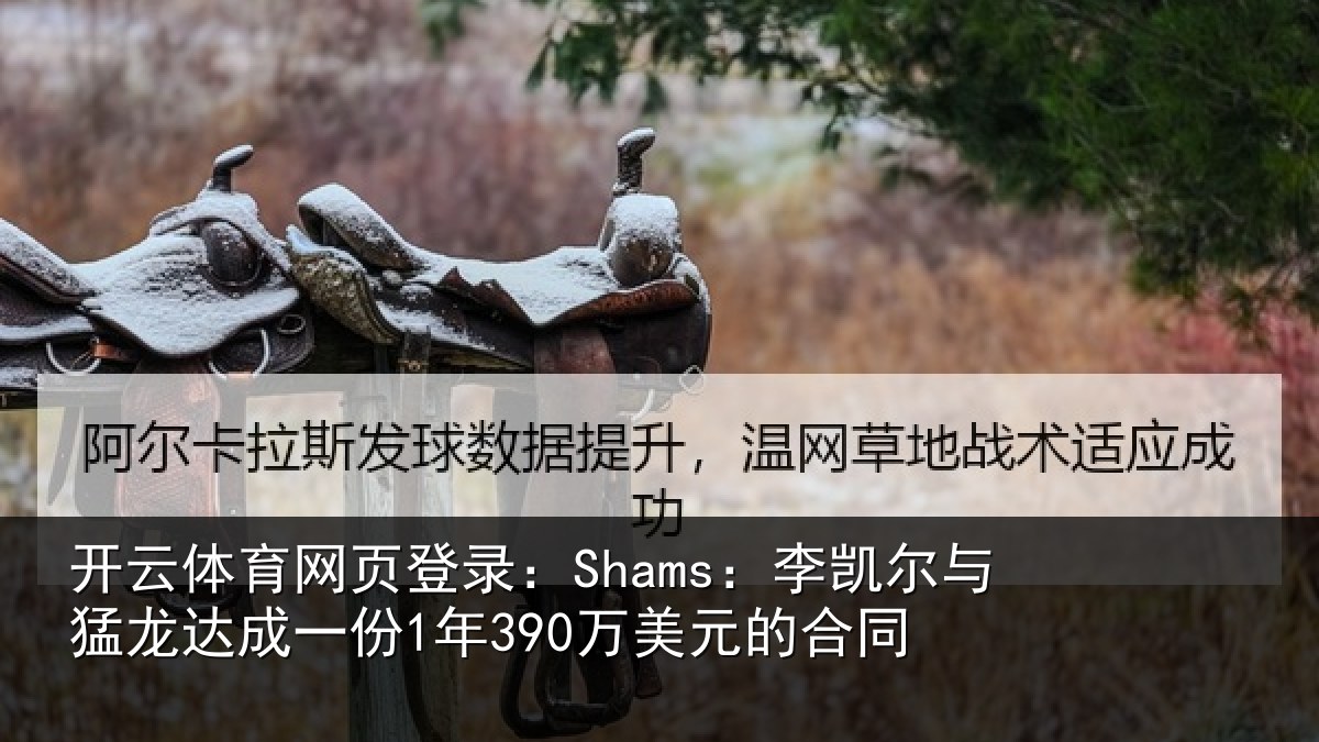 开云体育网页登录：Shams：李凯尔与猛龙达成一份1年390万美元的合同