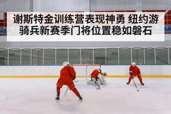 谢斯特金训练营表现神勇 纽约游骑兵新赛季门将位置稳如磐石
